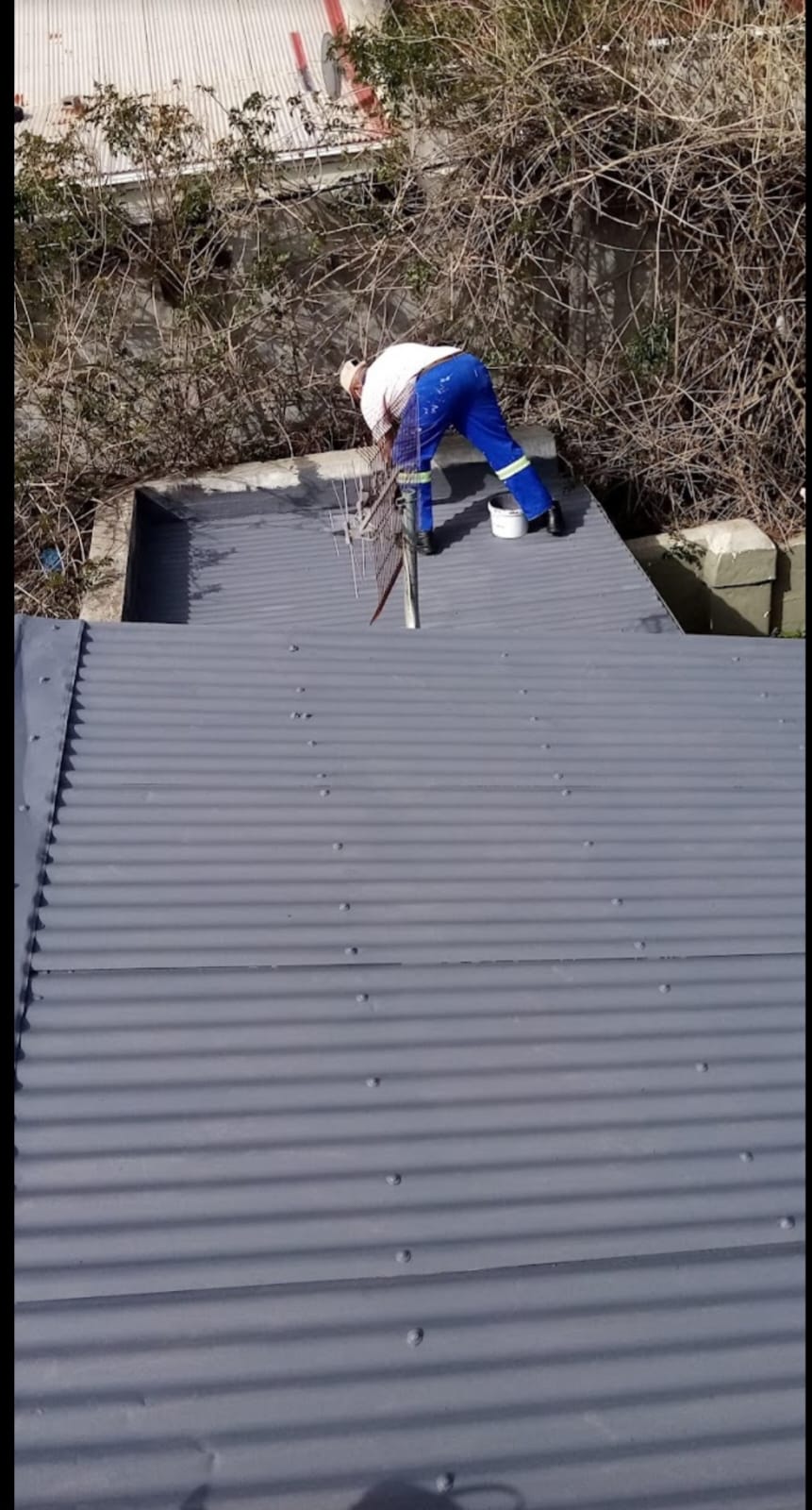 Roof Painting & Maintenance
